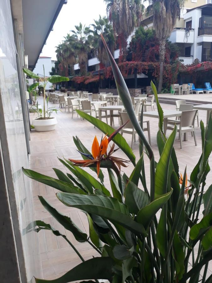 מלון אנטליה Club Jovia Kemer מראה חיצוני תמונה